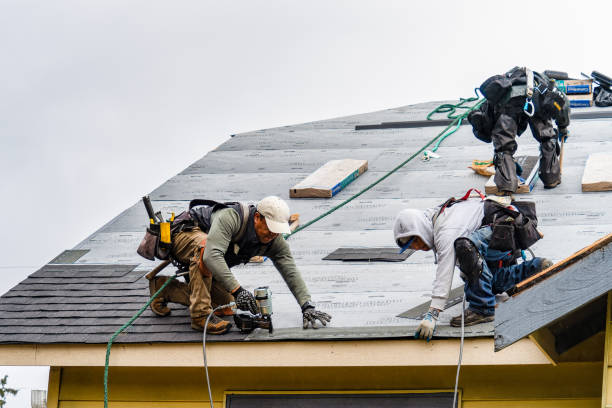 Professional Flat Roof Repair technician working in Thorndale, TX